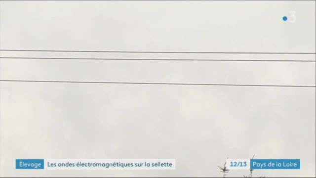 12/13 - F3 Pays-de-la-Loire , la mort par les ondes et l'électricité