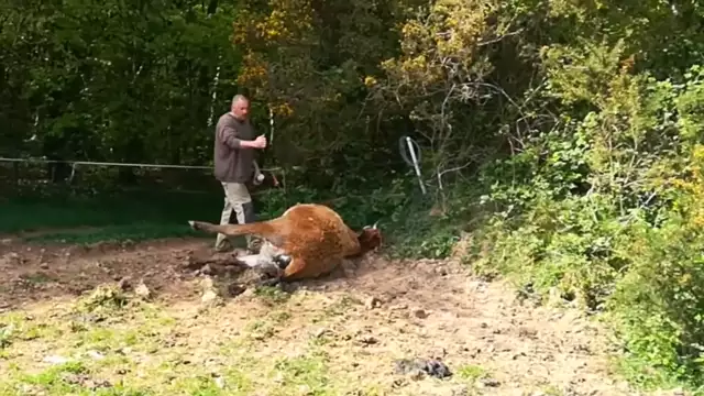 SOS ! L’Etat et les Lobbys meurtriers ! Danger CEM