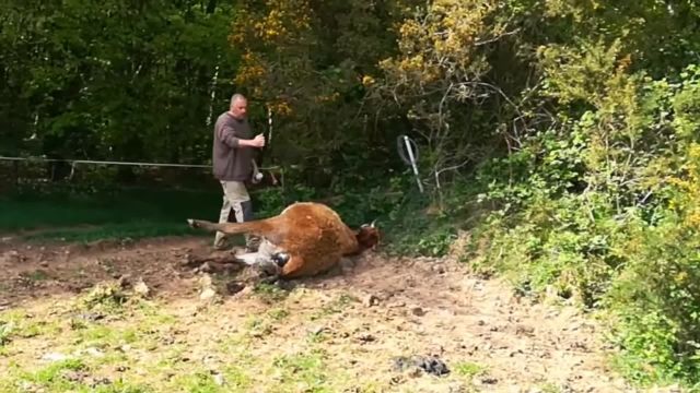 SOS ! L’Etat et les Lobbys meurtriers ! Danger CEM