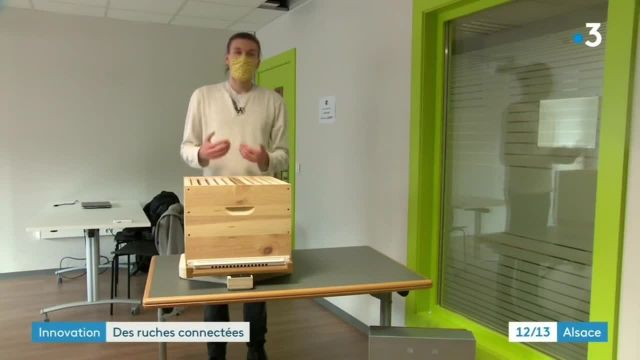 12/13 - F3 Alsace - Une ruche connectée