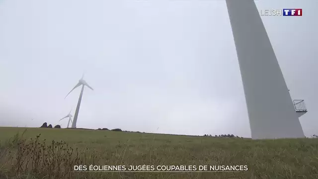 13h - TF1 - 09-11-2021 - éoliennes et santé