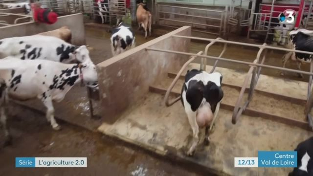 12/13 - F3 Centre-Val-de-Loire - 30-11-2021 - Agriculteur Connecté