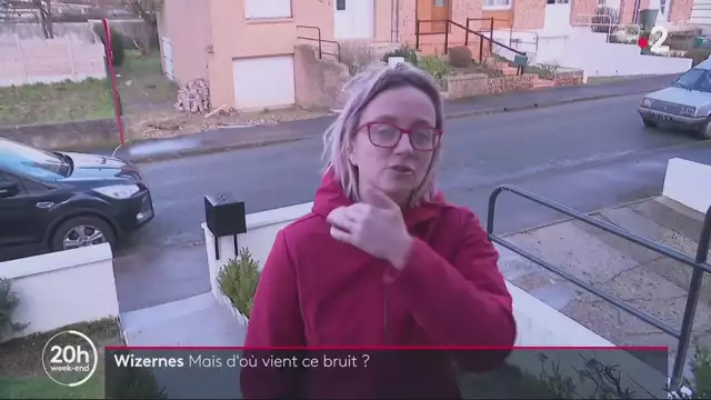 20h - France 2 - 29-01-2022