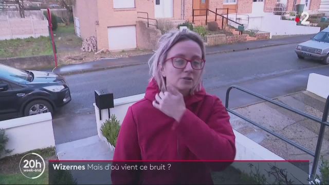 20h - France 2 - 29-01-2022