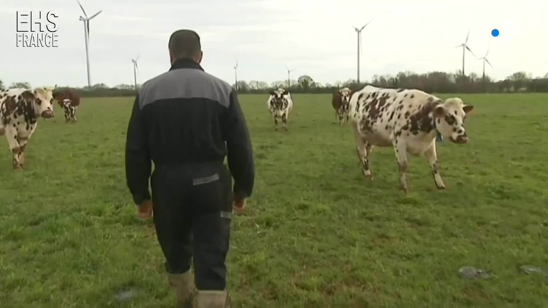 Champs electromagnetiques eoliennes contre eleveur