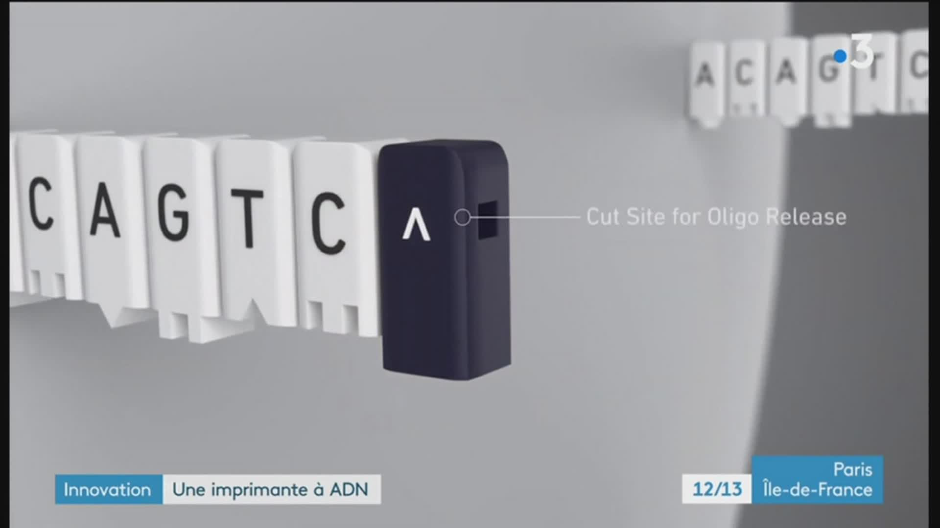 12/13 - F3 Paris île-de-France - 03-03-2023 , Imprimante à ADN