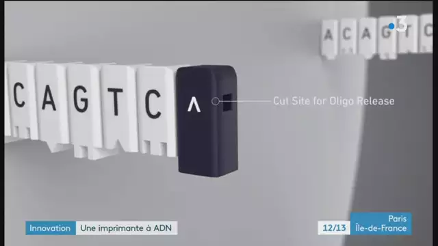 12/13 - F3 Paris île-de-France - 03-03-2023 , Imprimante à ADN