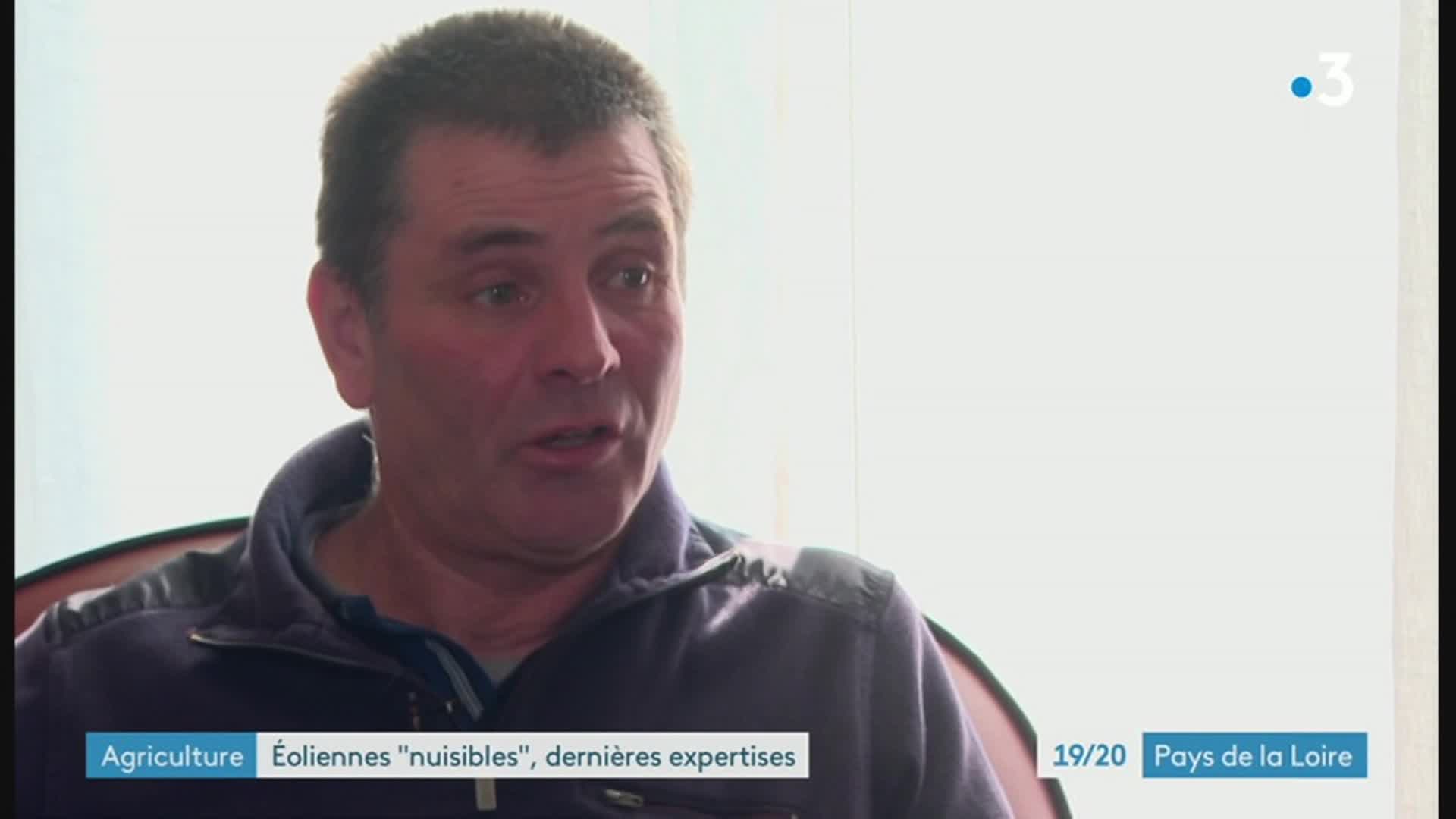 19/20 - F3 Pays-de-la-Loire - 03-03-2023 , Mort par les éoliennes