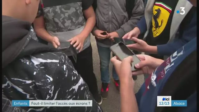 12/13 - F3 Alsace - 18-01-2024 , Ecrans