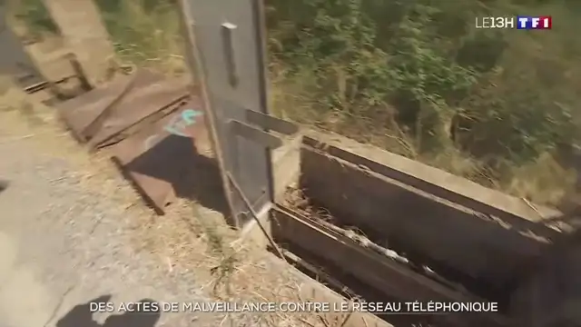 13h - TF1 - 29-07-2024 , Fibre