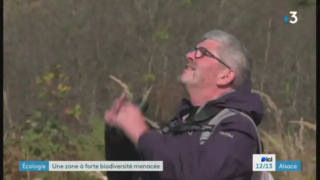 12/13 - F3 Alsace - 19-09-2024 , Parc Photovoltaïque