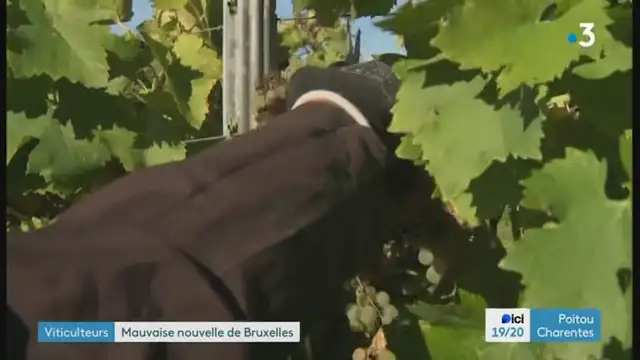 19/20 - F3 Poitou Charentess - 04-10-2024 , Véhicules de Chine