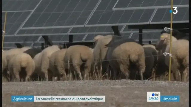 19/20 - F3 Limousin - 09-10-2024 , Photovoltaïques