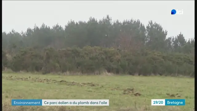 19/20 - F3 Bretagne - 21-02-2025 , Eoliennes